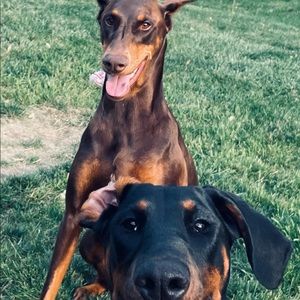 Meet your Posher, Tiffany